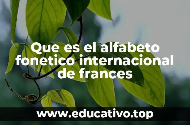 Que es el alfabeto fonetico internacional de frances