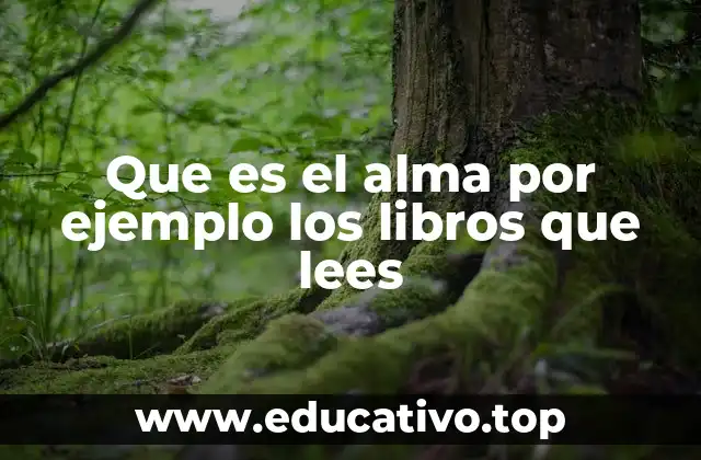 Que es el alma por ejemplo los libros que lees