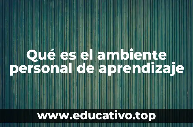 Qué es el ambiente personal de aprendizaje