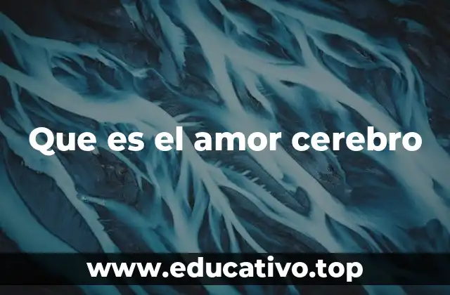 Que es el amor cerebro