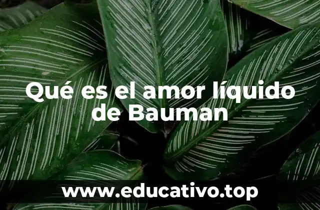 Qué es el amor líquido de Bauman