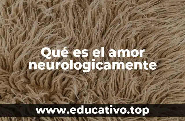 Qué es el amor neurologicamente