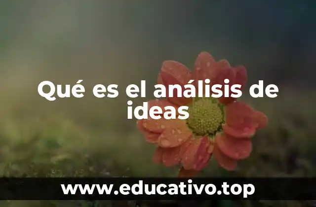 La importancia del análisis de ideas en la toma de decisiones