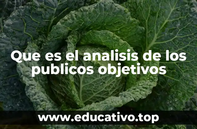 Que es el analisis de los publicos objetivos