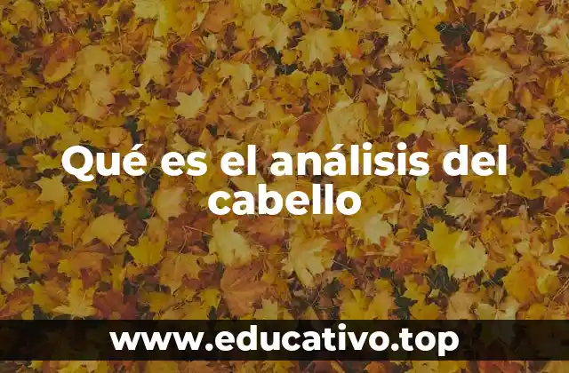 El papel del cabello como bioindicador