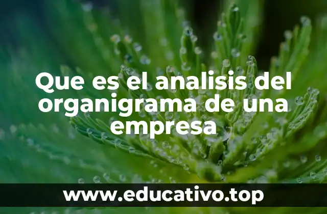 Que es el analisis del organigrama de una empresa
