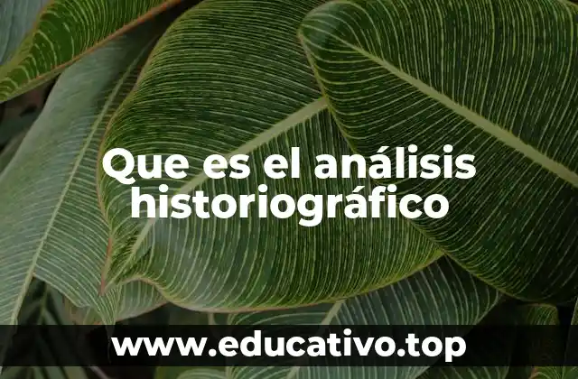 Que es el análisis historiográfico