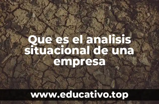 Que es el analisis situacional de una empresa