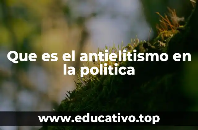 La lucha por la representación en la política
