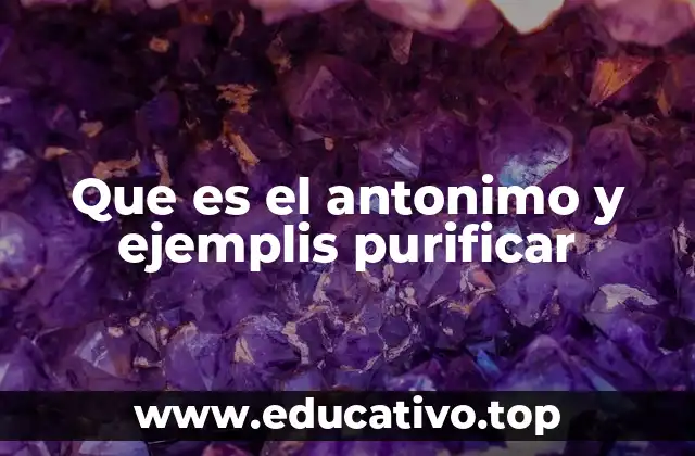Que es el antonimo y ejemplis purificar