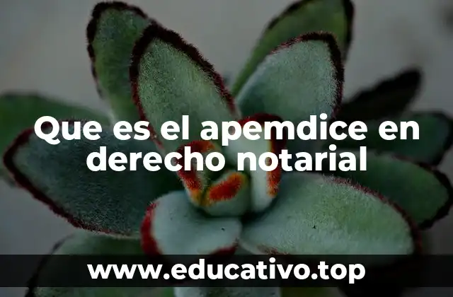 Que es el apemdice en derecho notarial