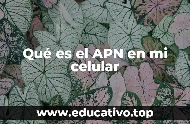 Qué es el APN en mi celular