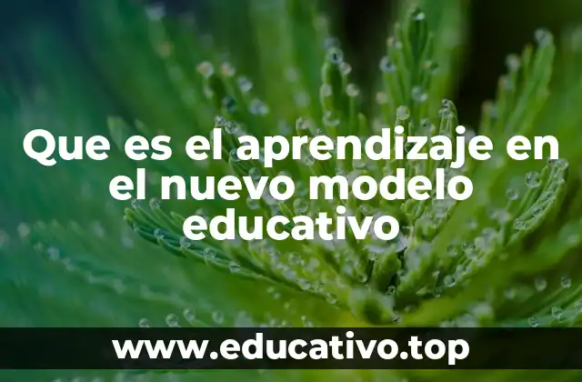 Que es el aprendizaje en el nuevo modelo educativo