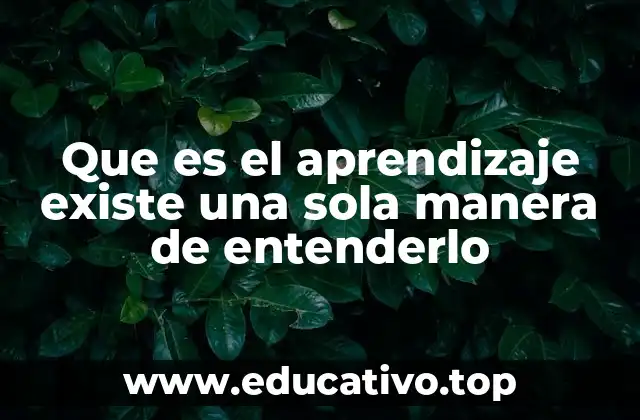 Que es el aprendizaje existe una sola manera de entenderlo