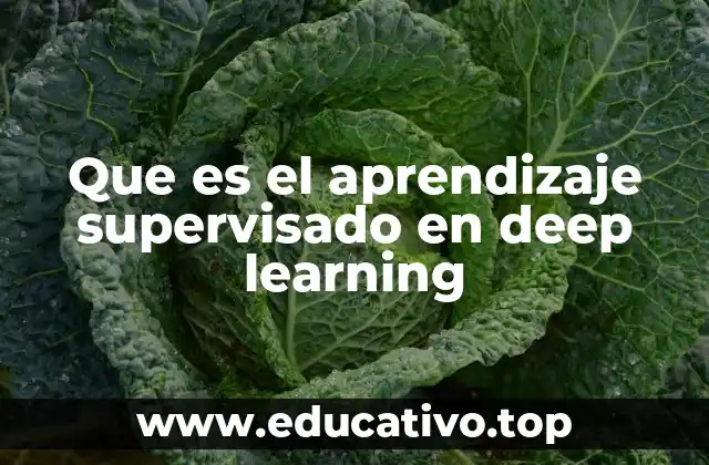 Cómo el aprendizaje supervisado estructura el entrenamiento de modelos