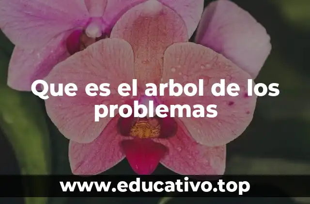 Cómo se construye un árbol de los problemas
