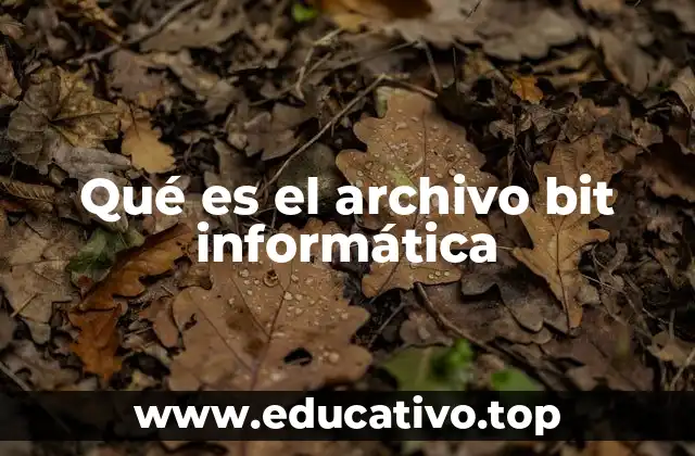 Qué es el archivo bit informática