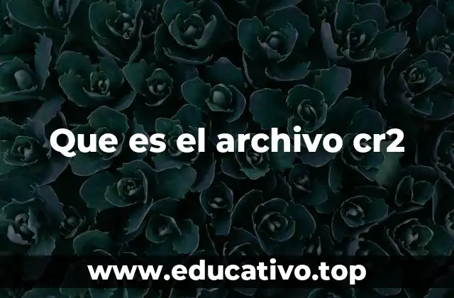 Que es el archivo cr2