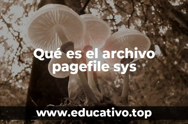 Qué es el archivo pagefile sys
