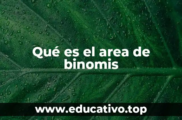 La importancia del área de Binomis en el contexto geográfico