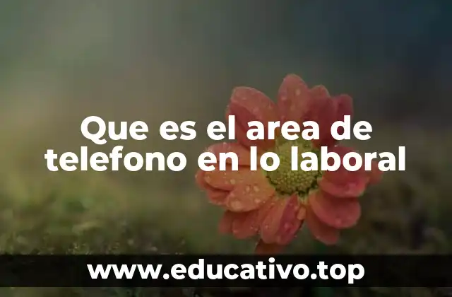 El papel del código de área en la gestión de contactos laborales