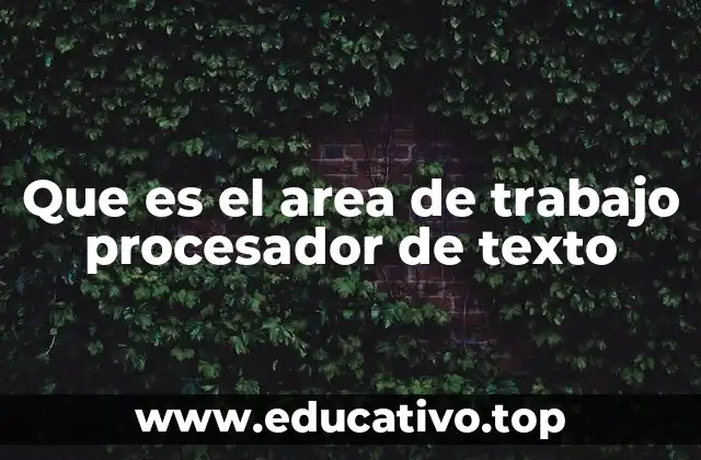 Que es el area de trabajo procesador de texto