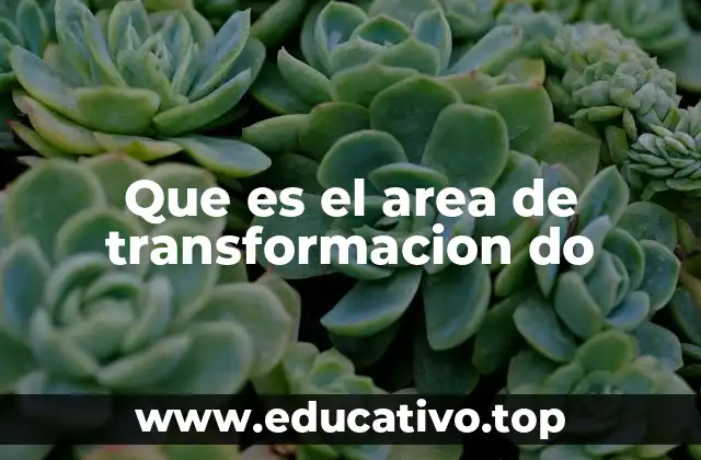 Que es el area de transformacion do