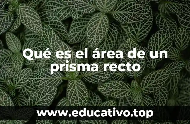 Qué es el área de un prisma recto