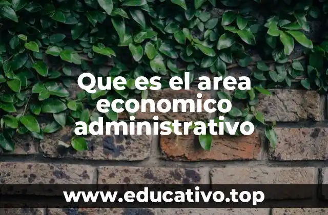 Que es el area economico administrativo