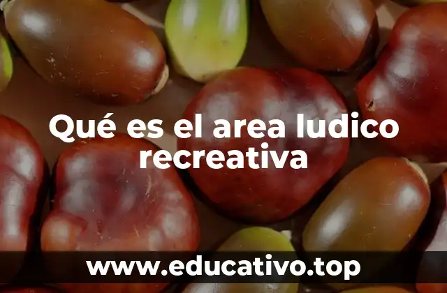 Qué es el area ludico recreativa
