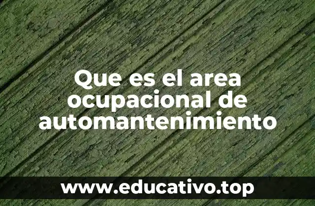 Que es el area ocupacional de automantenimiento
