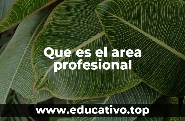 Que es el area profesional