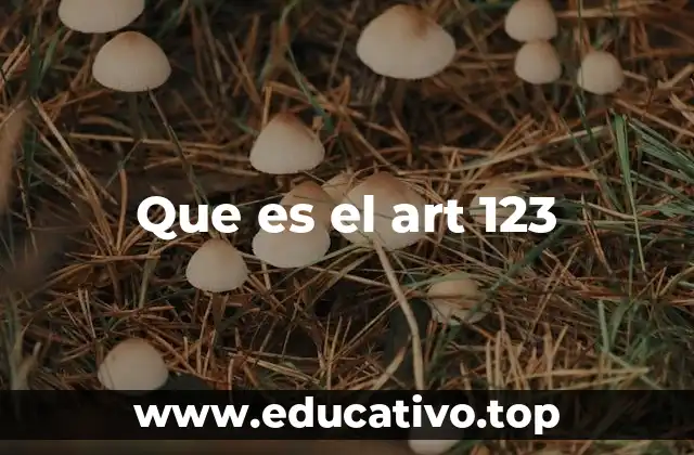 Que es el art 123