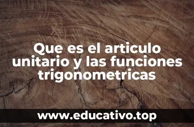 Que es el articulo unitario y las funciones trigonometricas