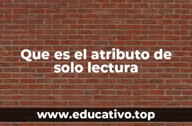 La importancia del atributo de solo lectura en la programación