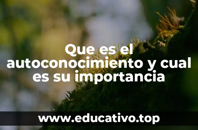 Que es el autoconocimiento y cual es su importancia