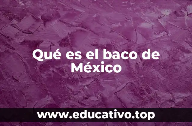 Qué es el baco de México