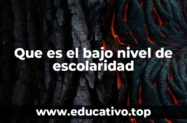 Que es el bajo nivel de escolaridad