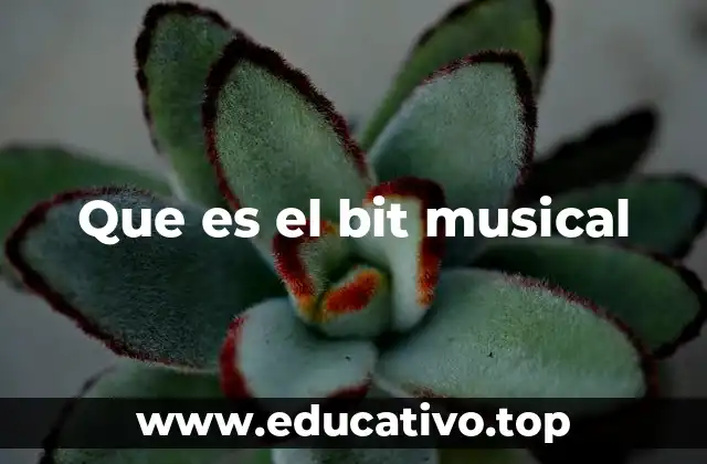 La importancia del ritmo en la música y el papel del bit