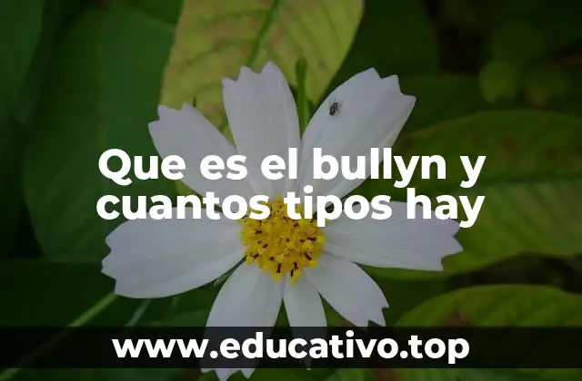 Que es el bullyn y cuantos tipos hay