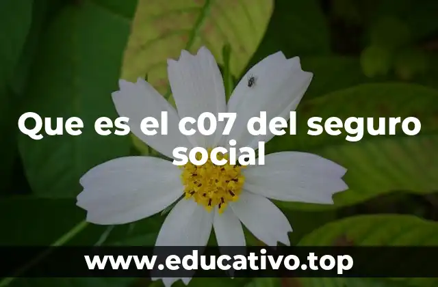 Que es el c07 del seguro social