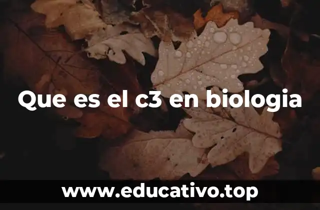 Que es el c3 en biologia