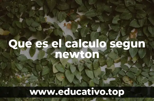 La visión científica detrás del cálculo de Newton