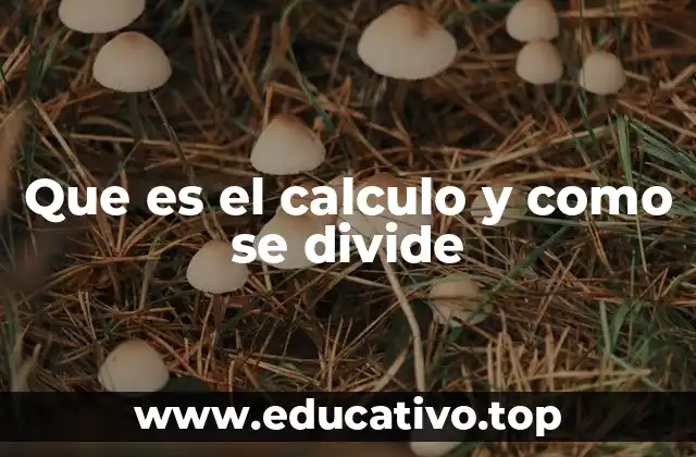 Que es el calculo y como se divide