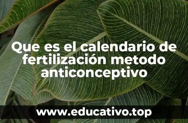 Que es el calendario de fertilización metodo anticonceptivo