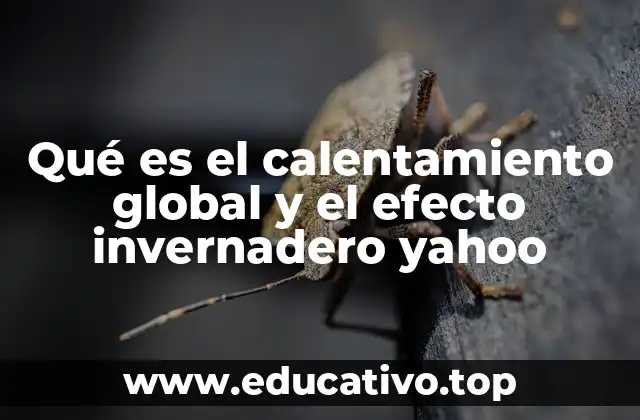 Los fundamentos científicos detrás del calentamiento global