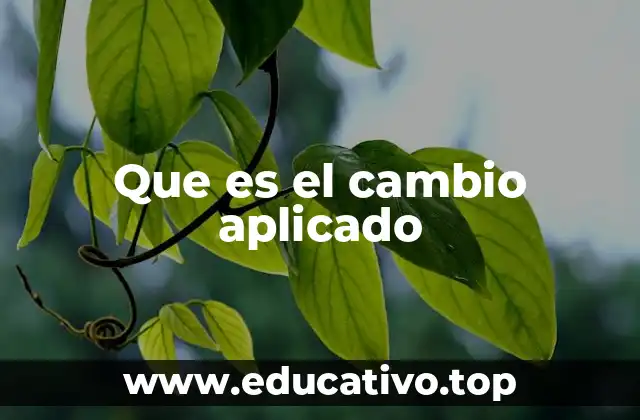 La importancia de la implementación efectiva