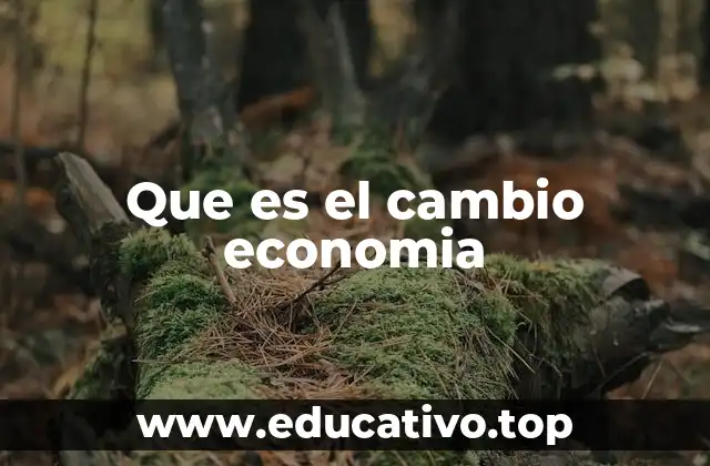 Que es el cambio economia