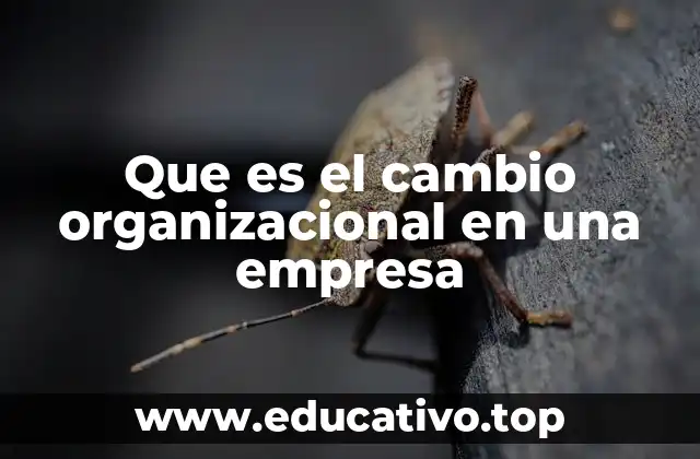 Que es el cambio organizacional en una empresa