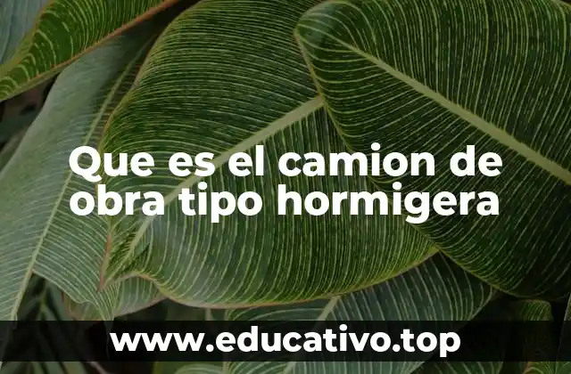 Que es el camion de obra tipo hormigera